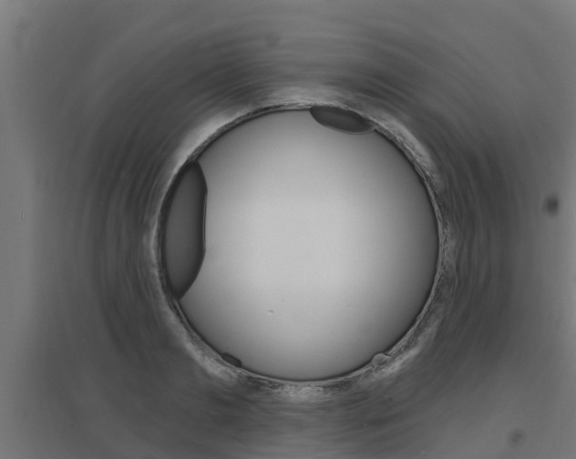 X0000097630893200802290841