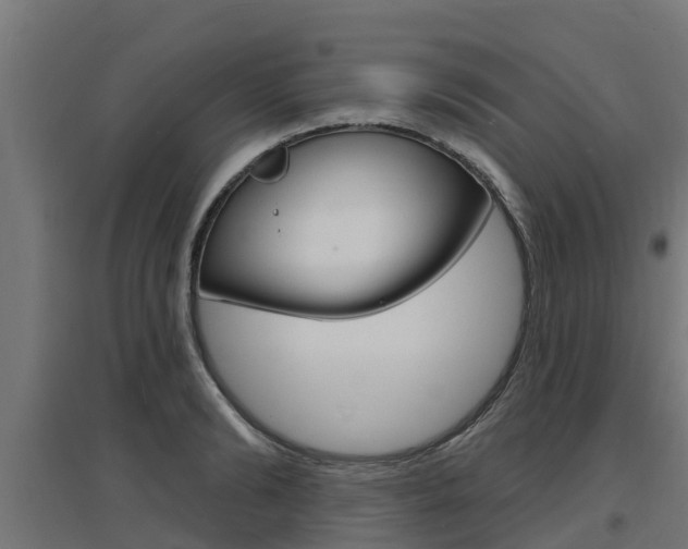 X0000097630894200802290841
