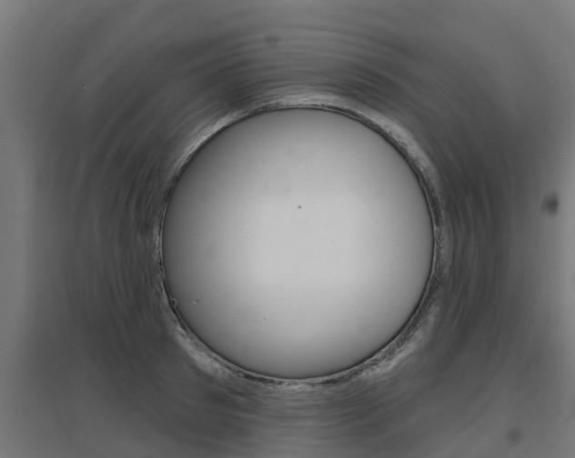X0000097630897200802290841