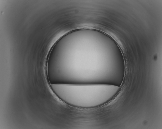 X0000097630901200802290841