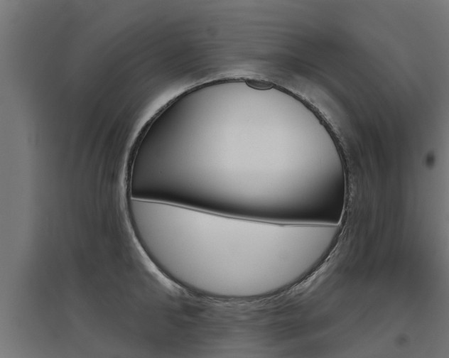 X0000097630902200802290841