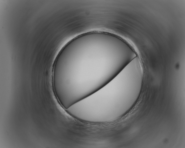 X0000097630903200802290841
