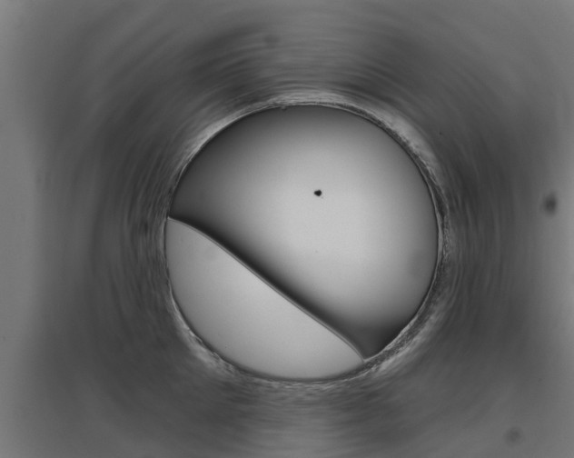 X0000097630905200802290841