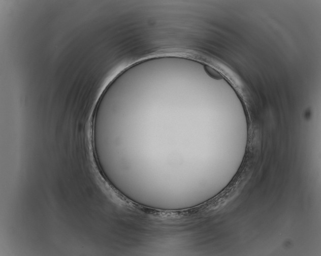X0000097630907200802290841