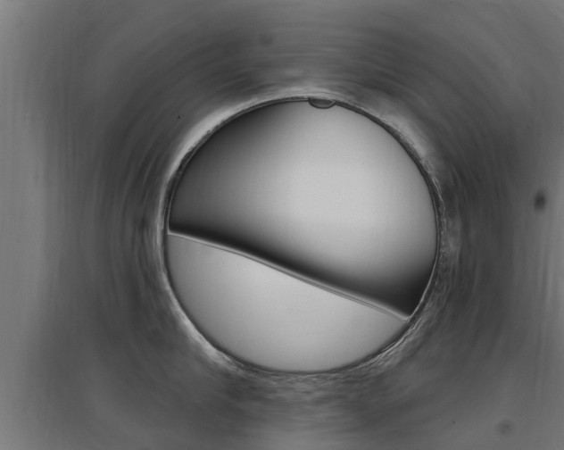 X0000097630910200802290841
