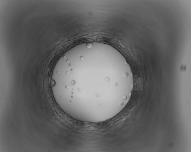 X0000097630913200802290840