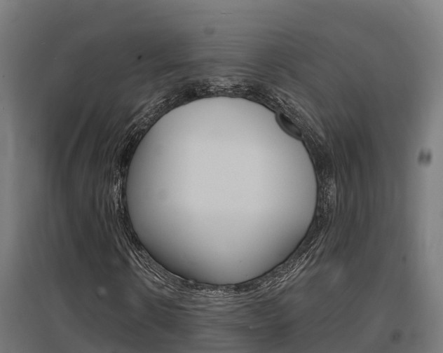 X0000097630914200802290840