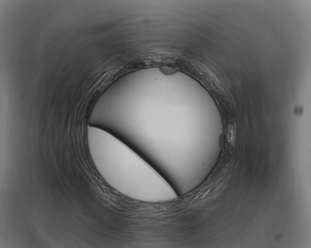 X0000097630915200802290840