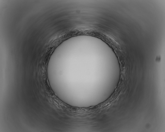 X0000097630917200802290840