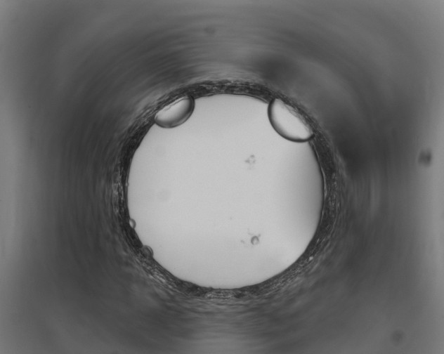 X0000097630918200802290840