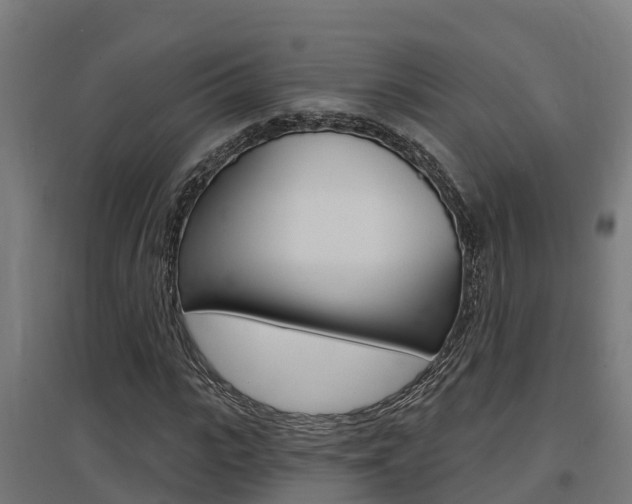 X0000097630919200802290840