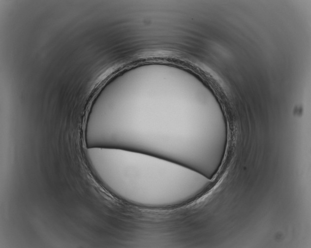 X0000097630921200802290840