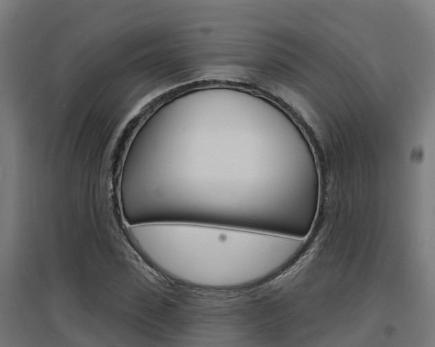 X0000097630923200802290840