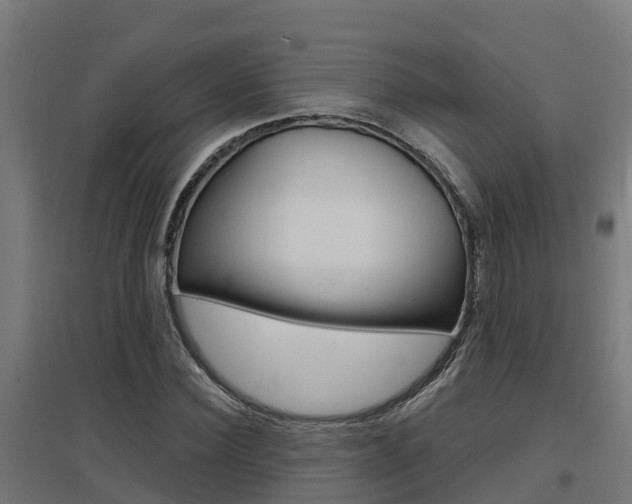 X0000097630924200802290840
