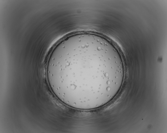 X0000097630925200802290840