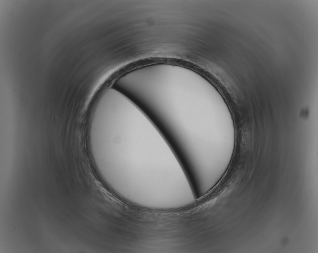 X0000097630926200802290840