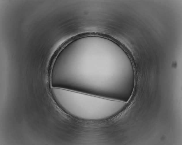 X0000097630927200802290840