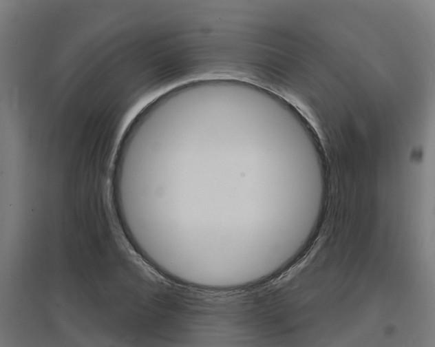 X0000097630928200802290840