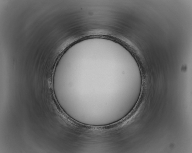 X0000097630929200802290841