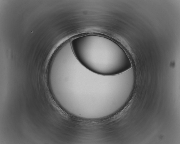 X0000097630931200802290841