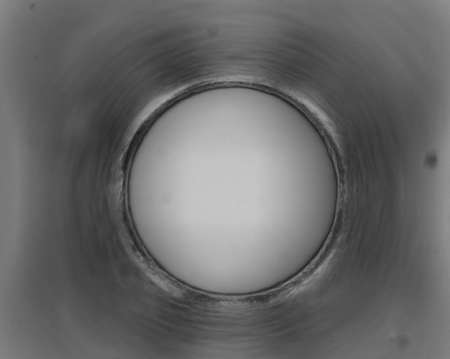 X0000097630933200802290841