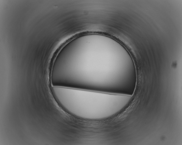 X0000097630935200802290841
