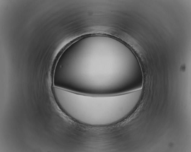 X0000097630936200802290841