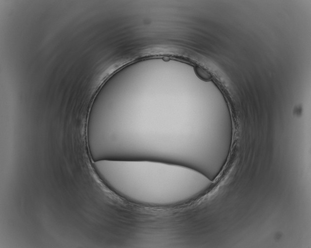 X0000097630937200802290841