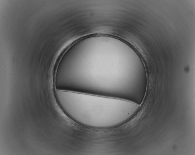 X0000097630939200802290841