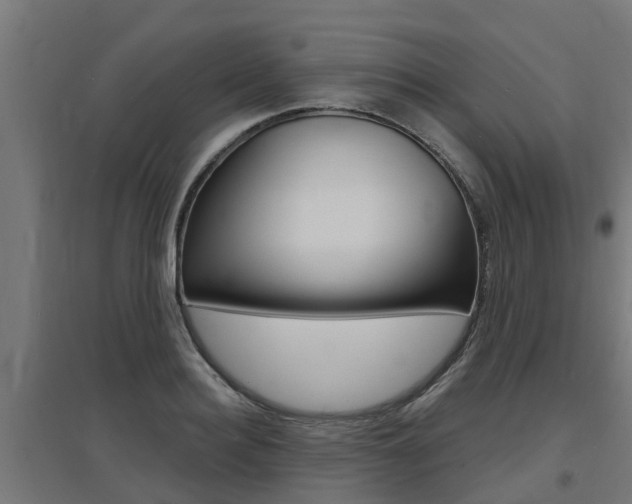 X0000097630940200802290841