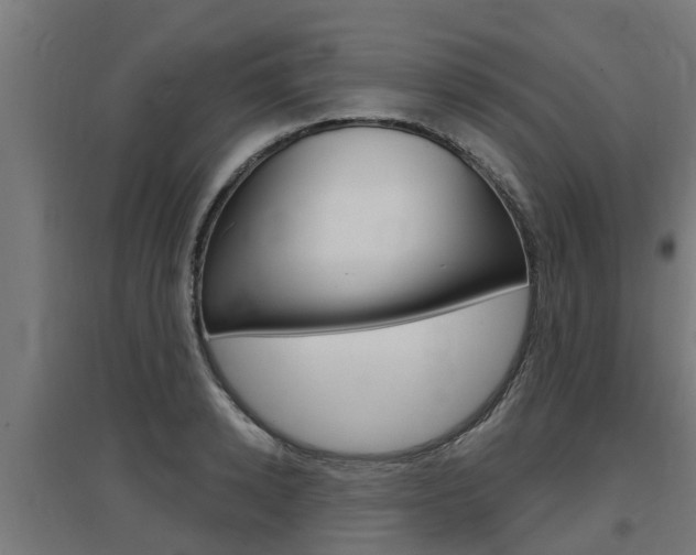 X0000097630942200802290841