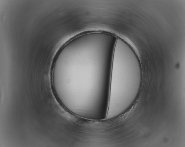 X0000097630943200802290841