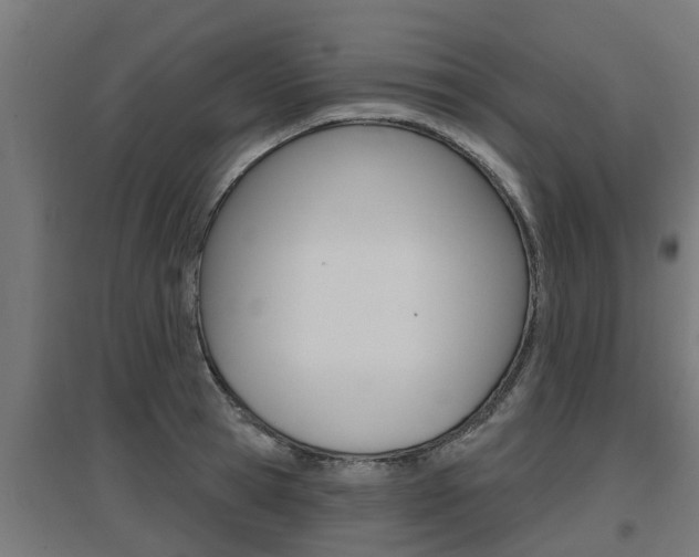 X0000097630945200802290841