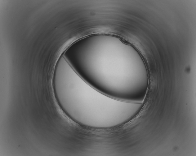 X0000097630946200802290841