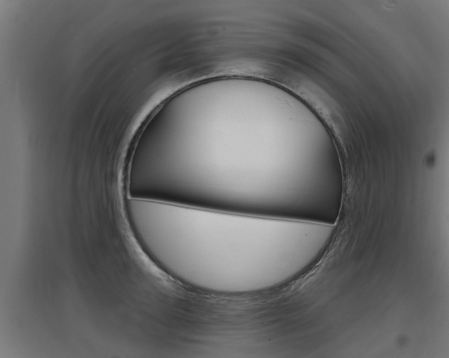 X0000097630947200802290841