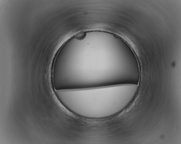 X0000097630949200802290841