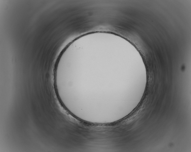 X0000097630950200802290841