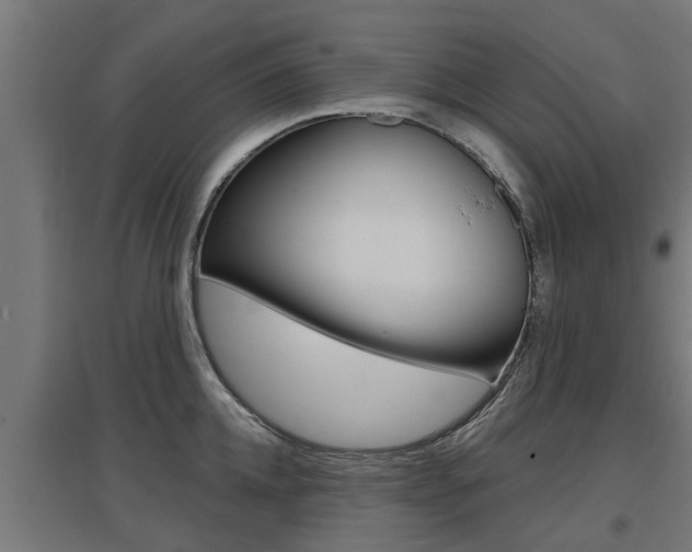 X0000097630952200802290841