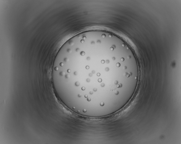 X0000097630953200802290841