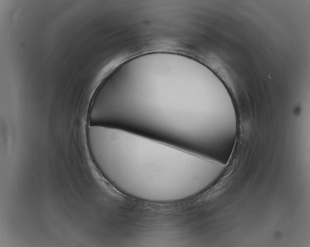 X0000097630954200802290841
