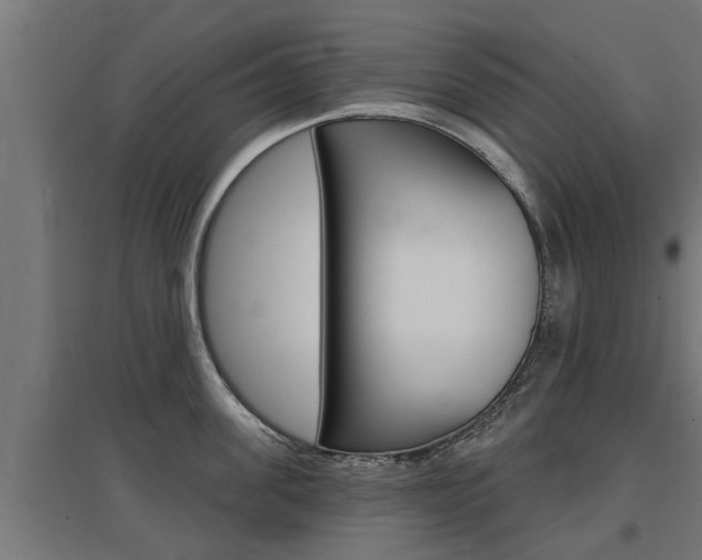 X0000097630955200802290841