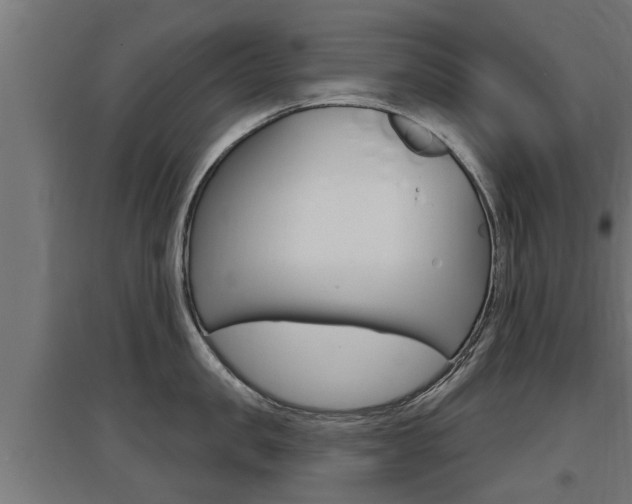 X0000097630957200802290841