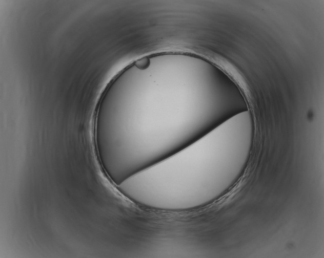 X0000097630958200802290841