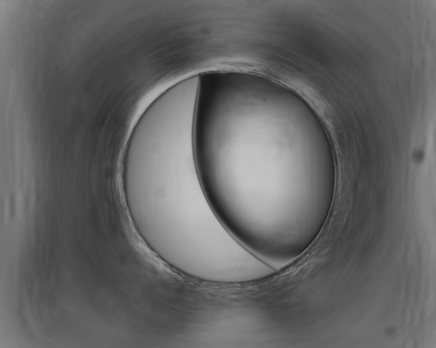 X0000097630960200802290841