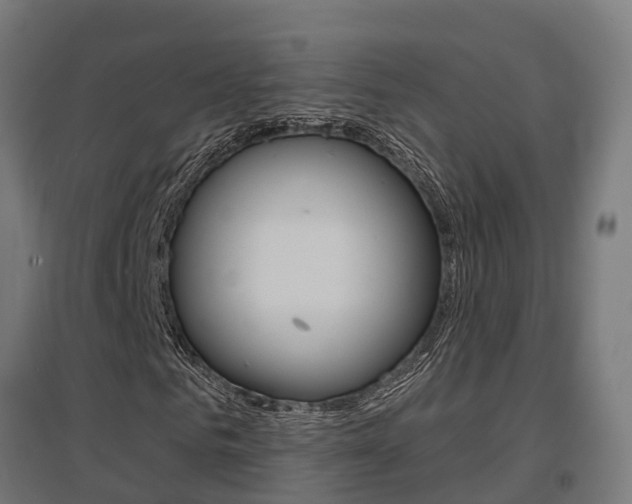 X0000097630961200802290840
