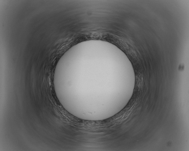 X0000097630962200802290840