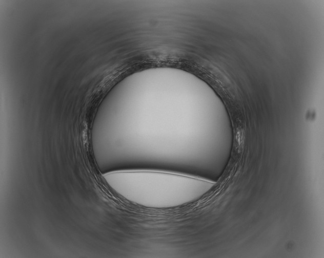 X0000097630963200802290840