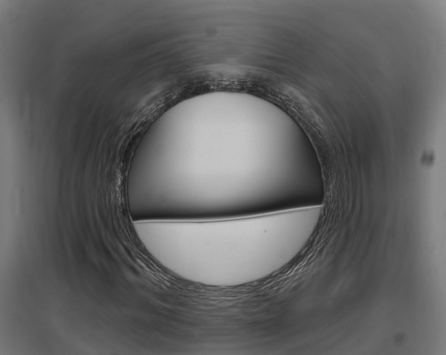 X0000097630964200802290840