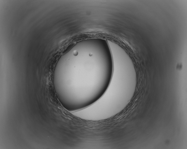 X0000097630965200802290840