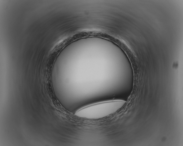 X0000097630967200802290840